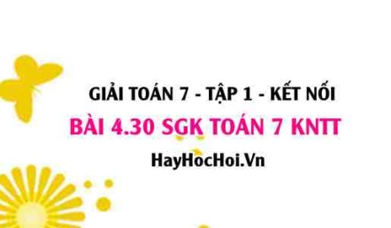 Bài 4.30 SGK Toán 7 tập 1 Kết nối tri thức